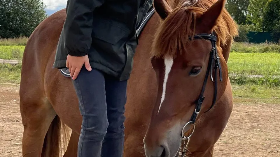 Источник фото: сыроварня Олега Сироты