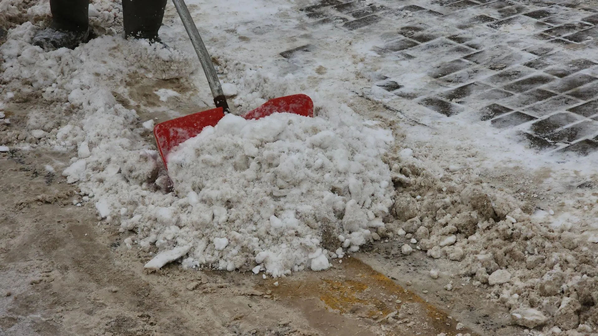 Фото: Екатерина Данилина