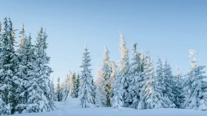 медиасток.рф