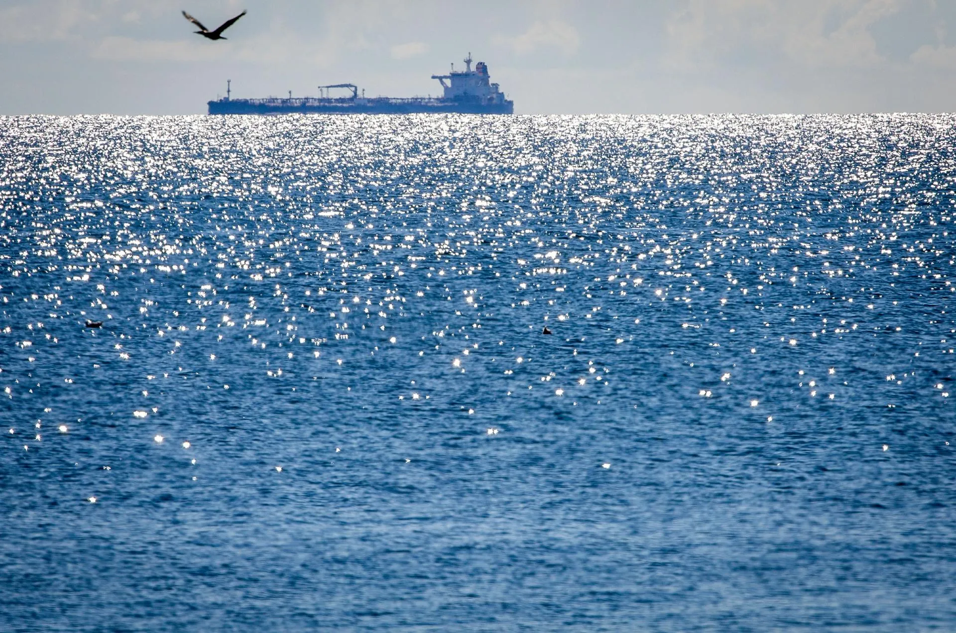 Jens BÃ�ttner/dpa