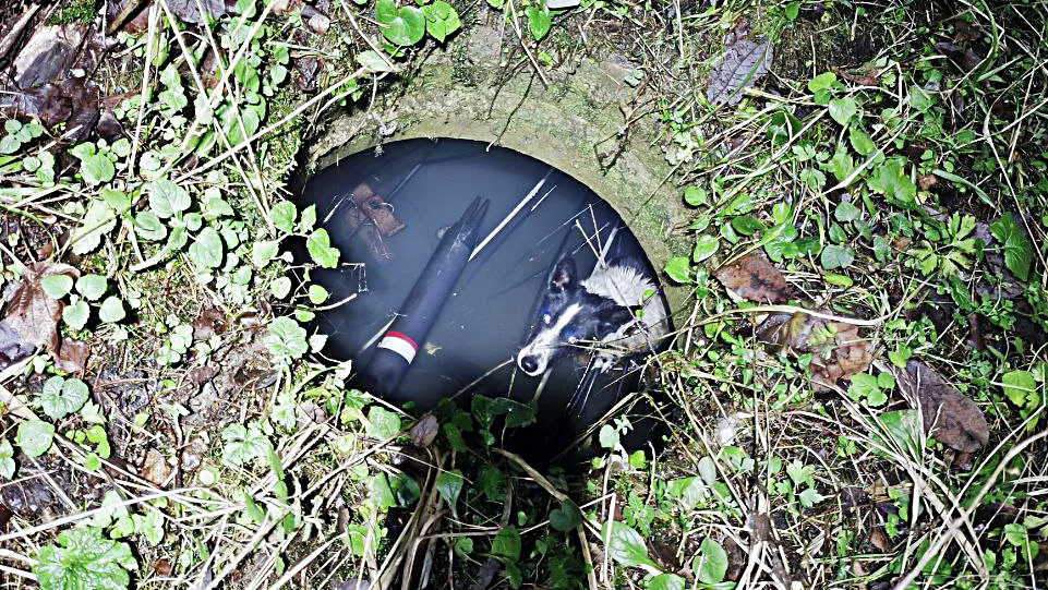 Фото: ТРК «Одинцово»