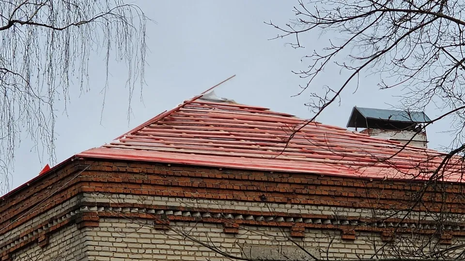 Фото: Дмитрий Алексеенко