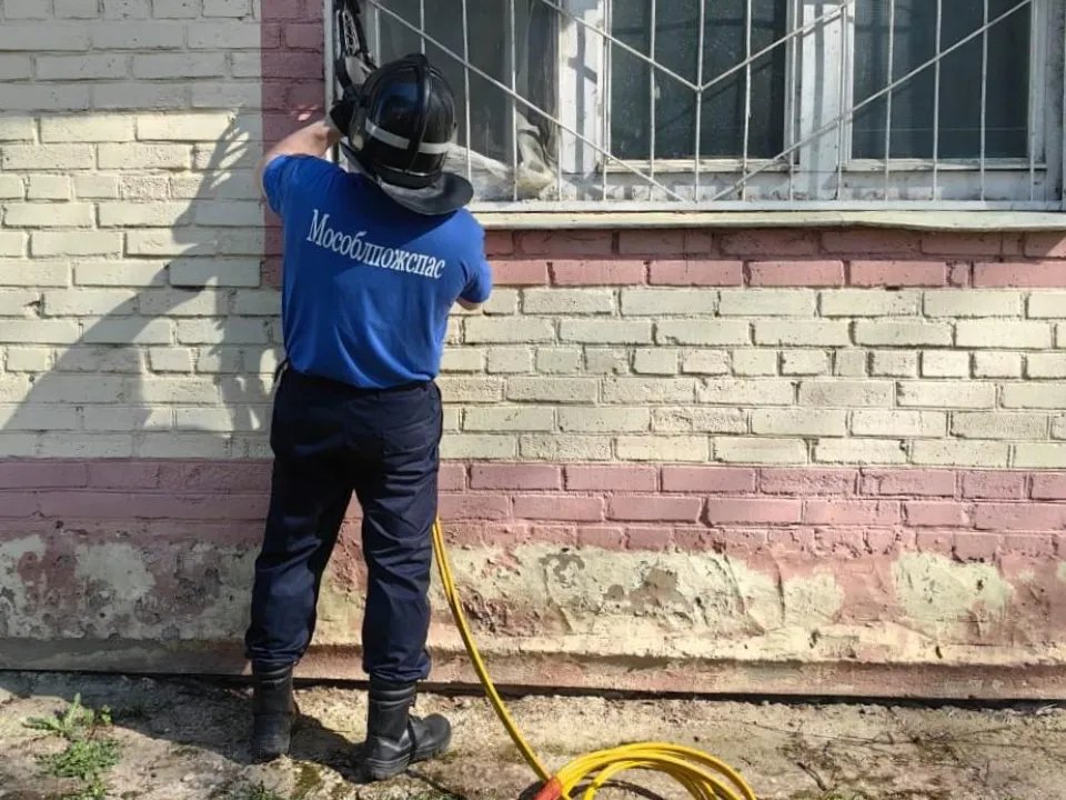 Фото: ГКУ МО «Мособлпожспас»&nbsp;