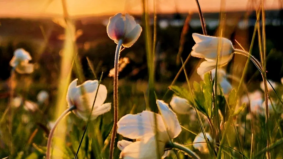 Фото: REGIONS/Мария Панина