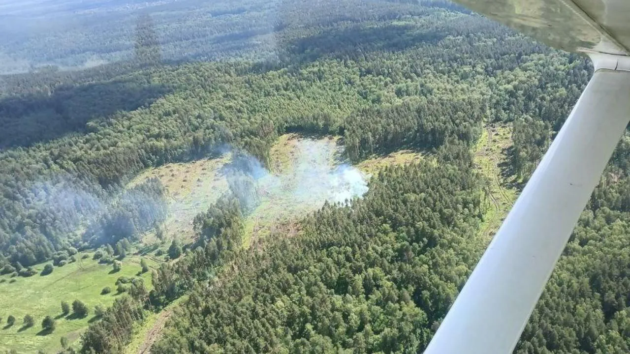 Сводный план тушения лесных пожаров на 2026 год утвердили в Подмосковье