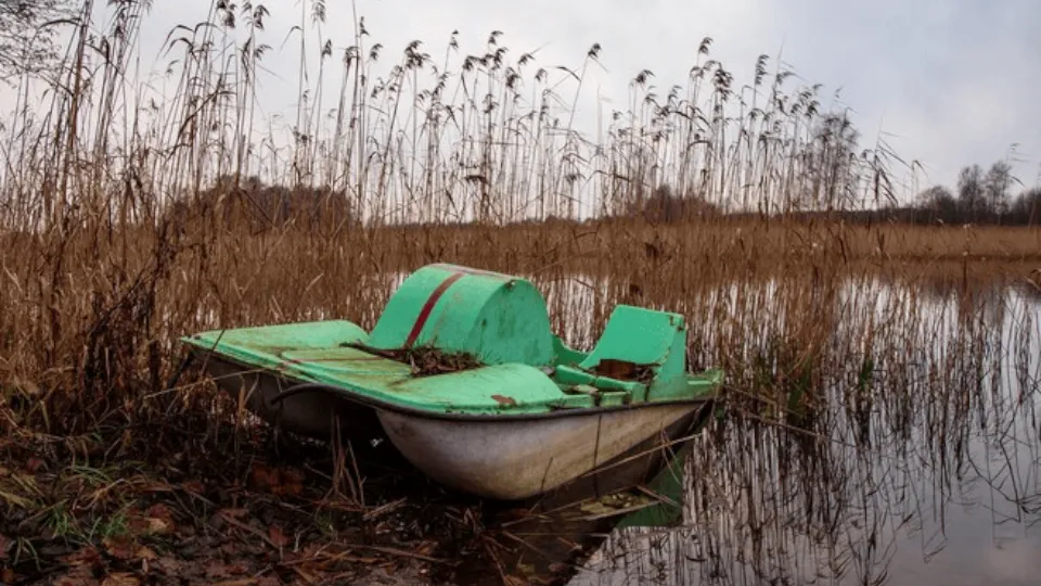 Фото: freepik.com