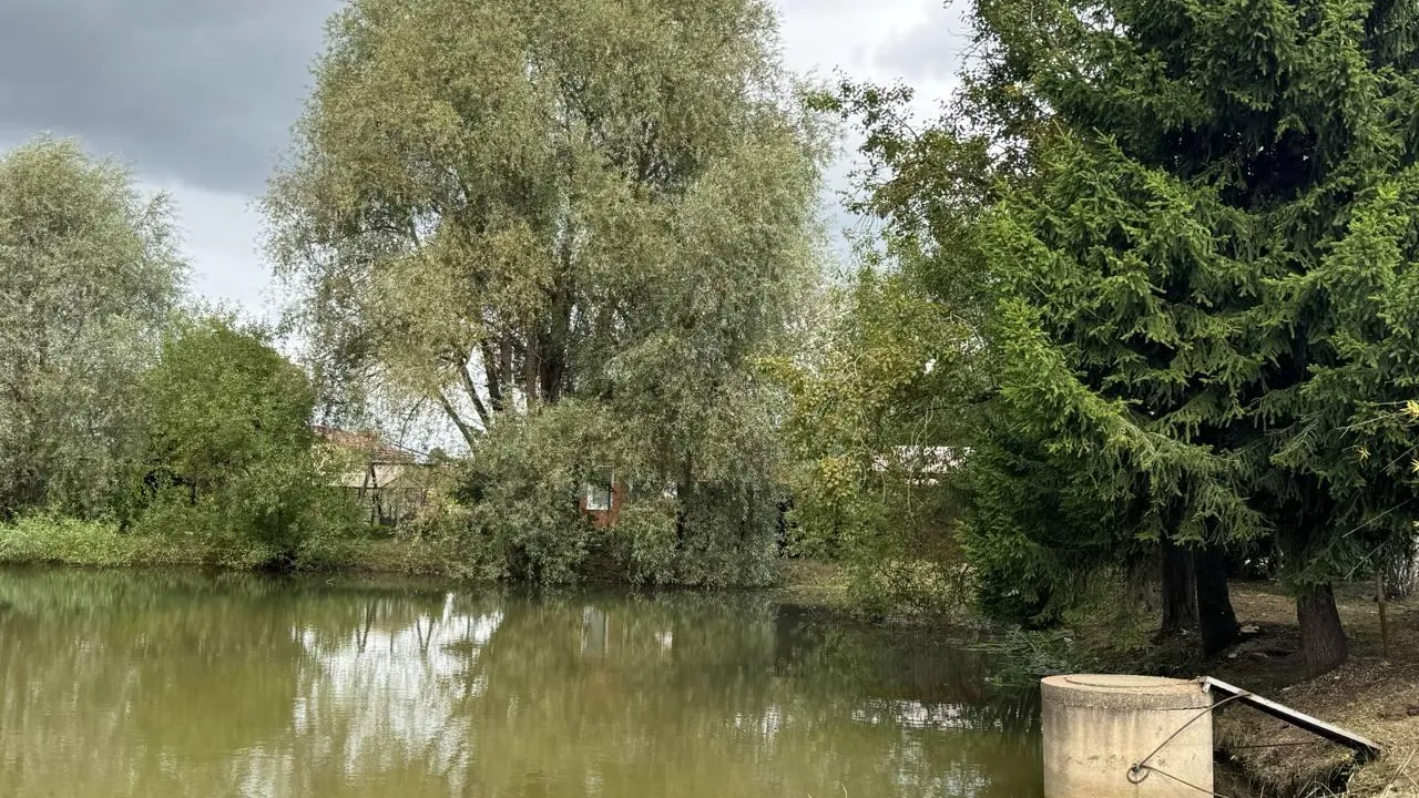 Фото: пресс-служба администрации Можайского м.о.