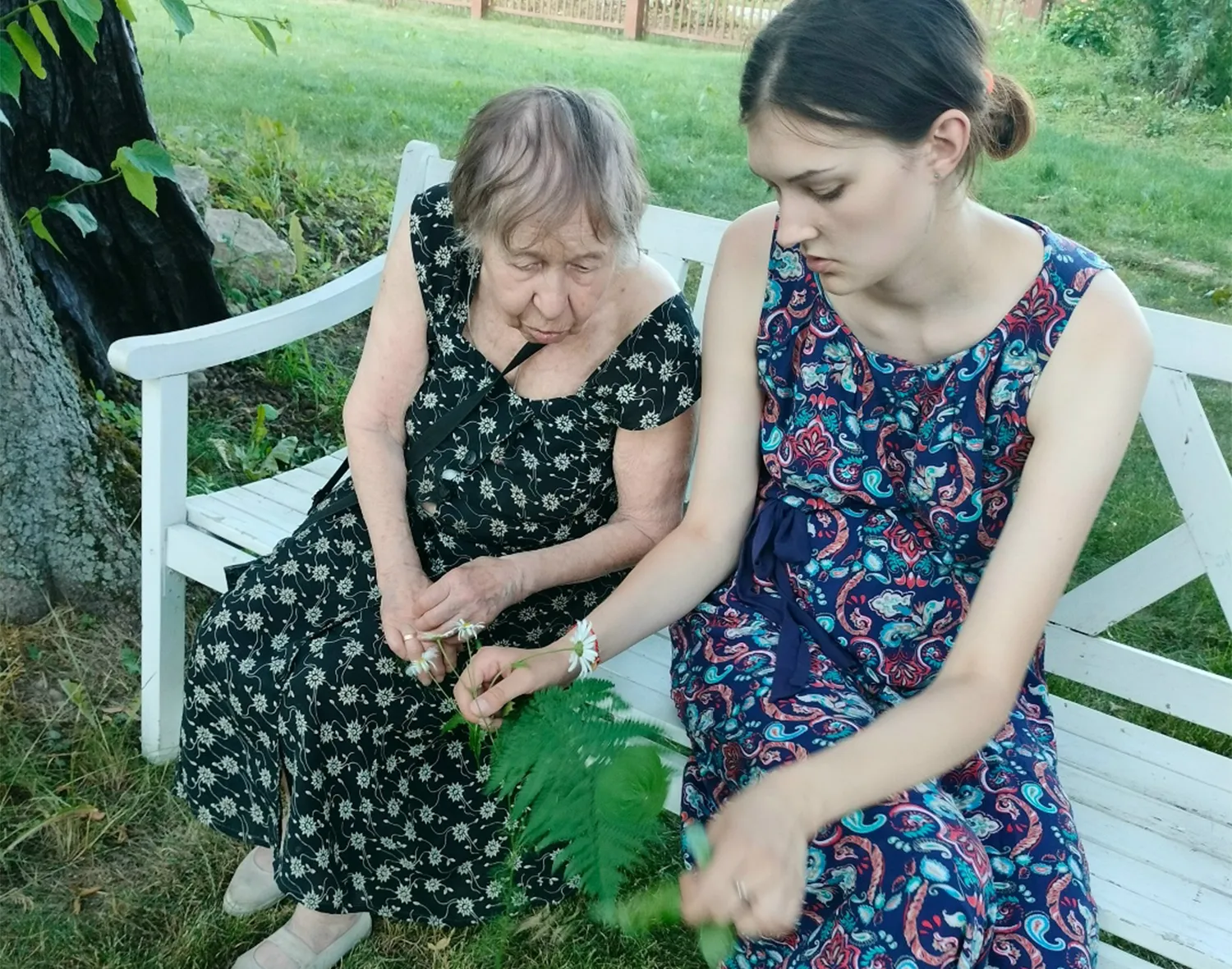 Фото: НП «Заповедное Даровое»