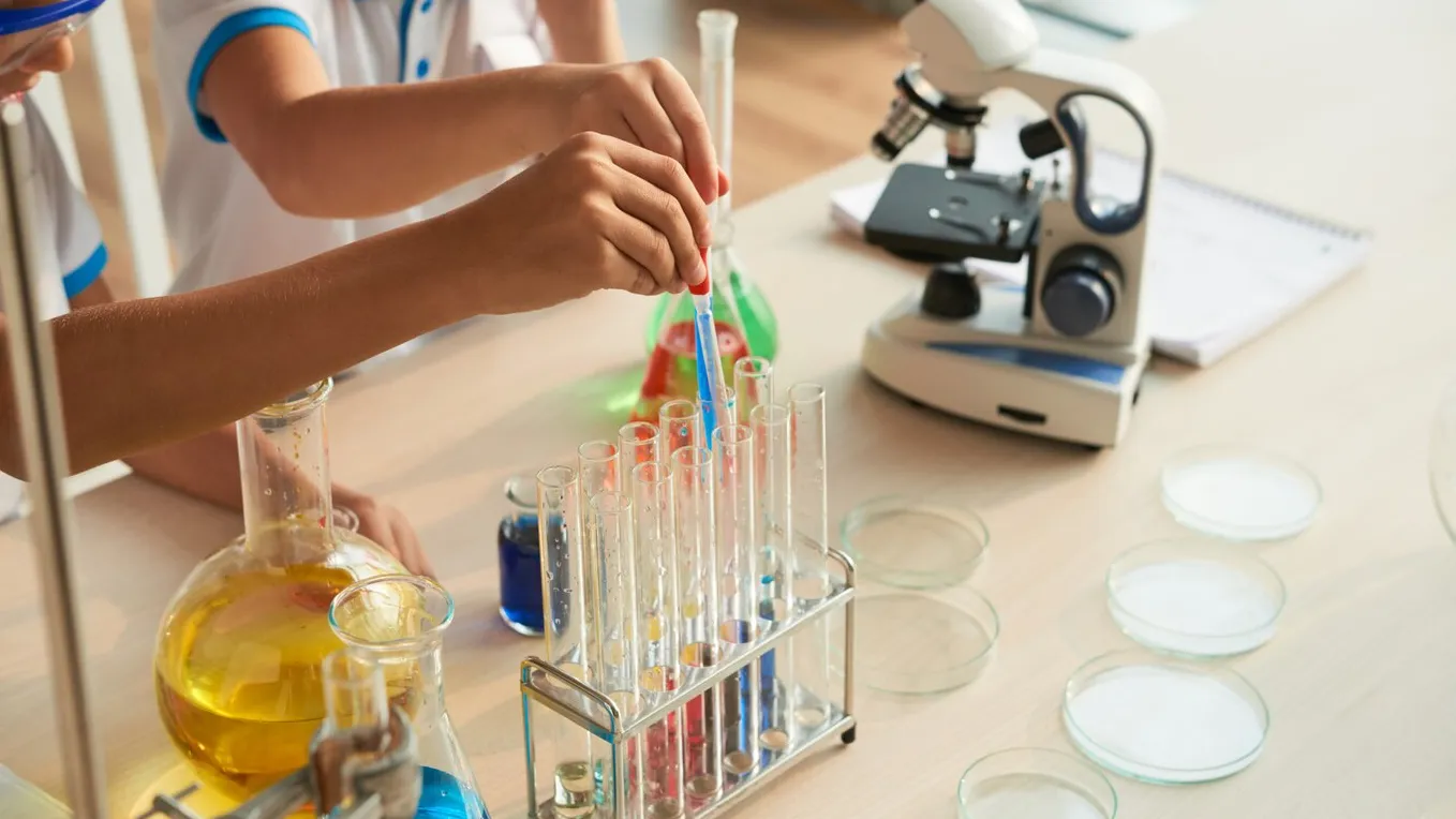 Фото взято с ru.freepik.com