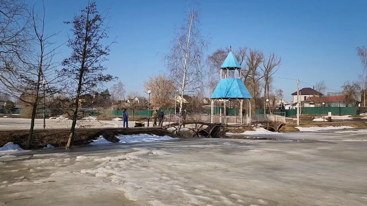 МедиаБанк Подмосковья/Ольга Антонова