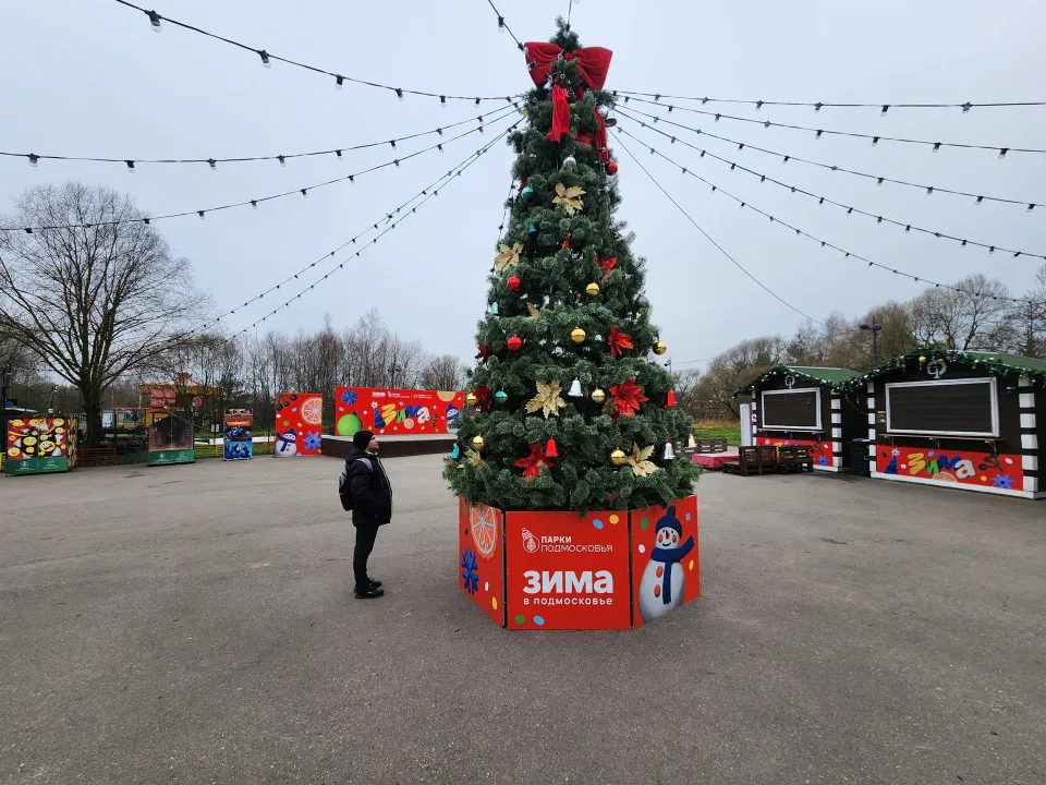 Фото: МедиаБанк Подмосковья/Дмитрий Алексеенко