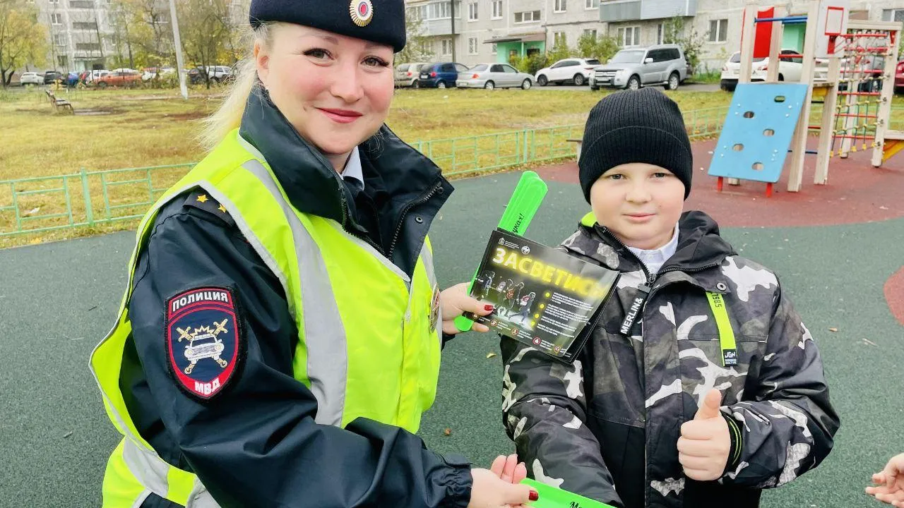 Фото: Госавтоинспекция Московской области