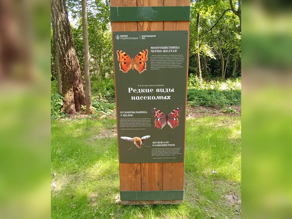 Фото:&nbsp;Министерство благоустройства Московской области