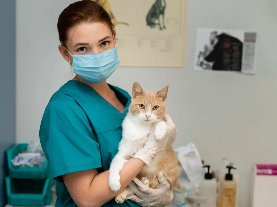 Фото: freepik.com