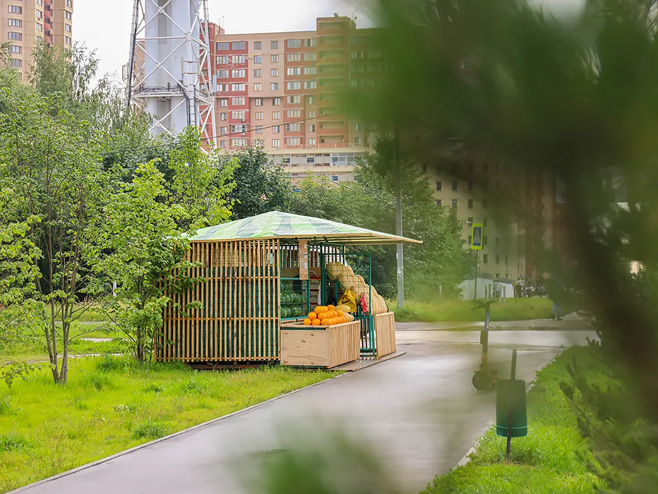 Фото: МедиаБанк Подмосковья/Ксения Казакова