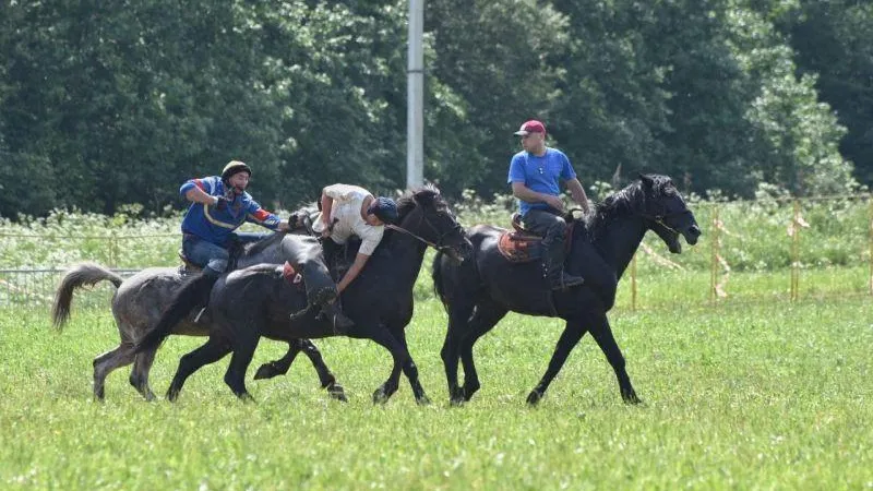 Терюшков об игре «кок-бору»: площадка стала одним из украшений фестиваля «Русский мир»