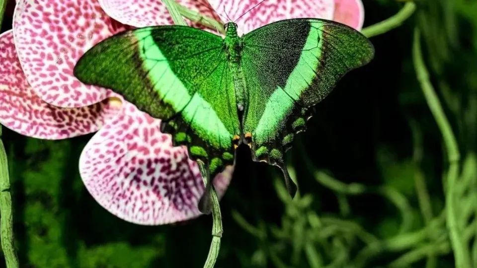 Фото: Музейно-выставочный центр г.о. Серпухов