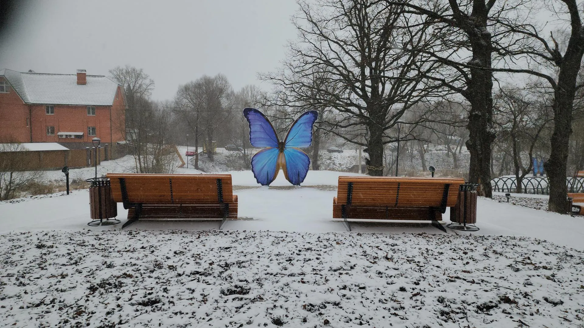 Екатерина Данилина