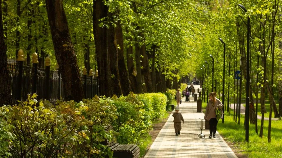 Фото: Министерство благоустройства МО