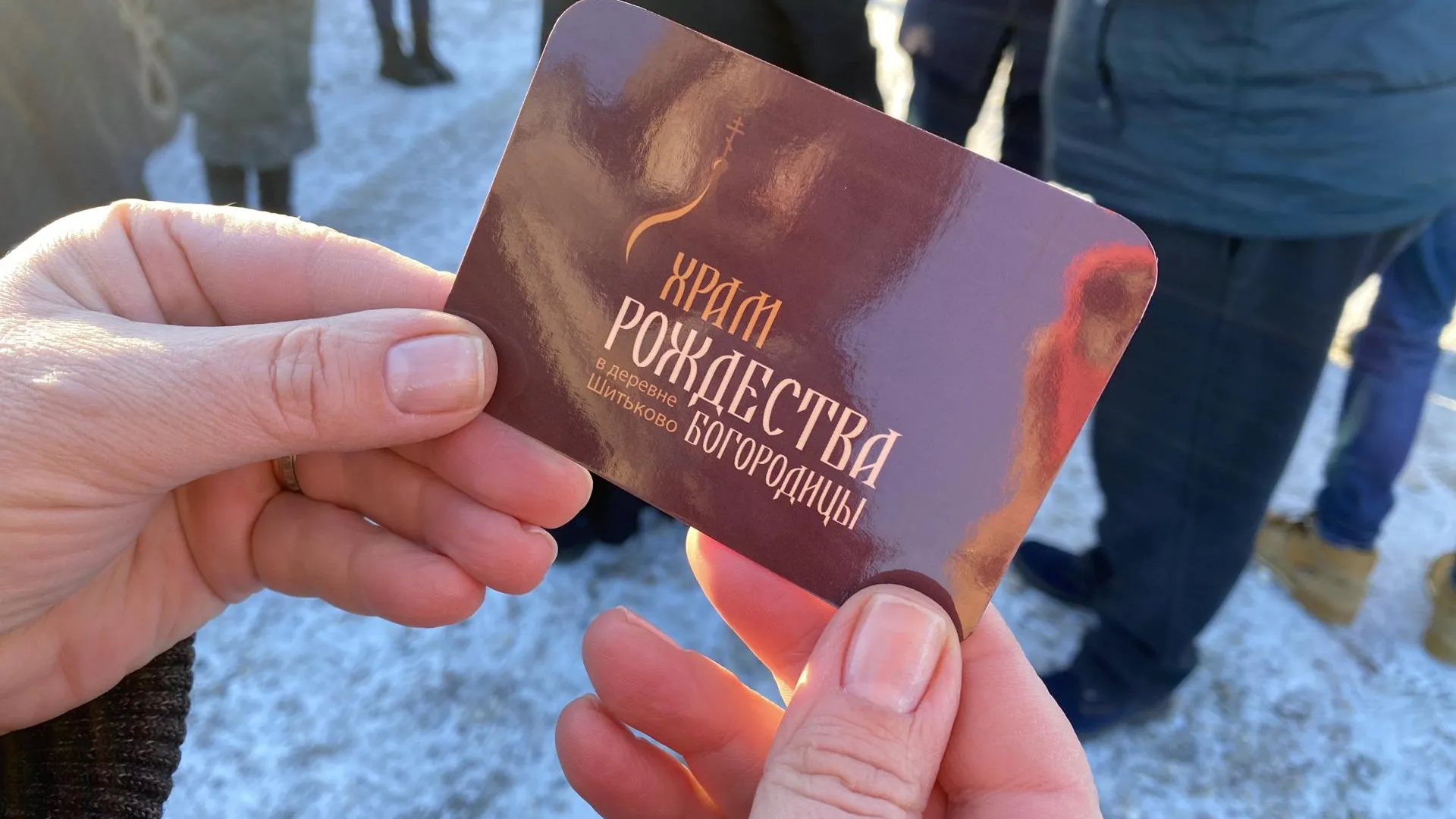 Дарья Шапочкина