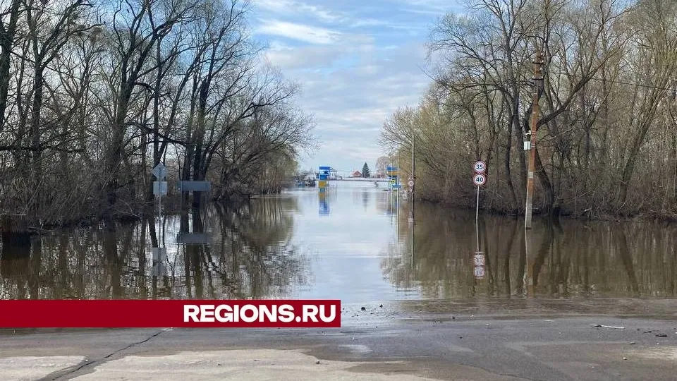 Фото: пресс-служба администрации городского округа Луховицы