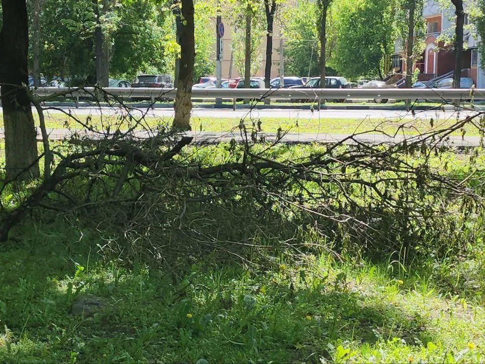 Фото: Наталья Лымарь