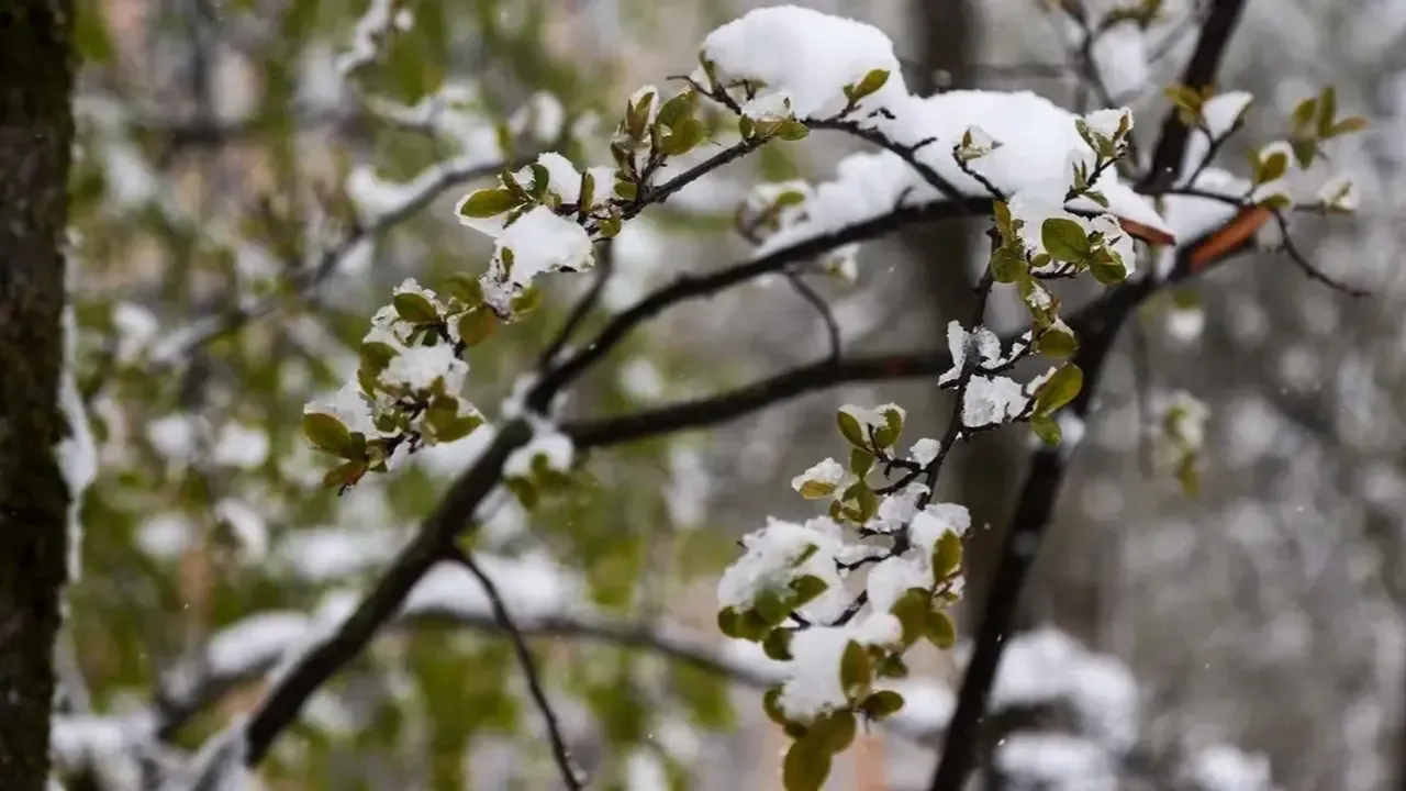 REGIONS/Владимир Ерастов