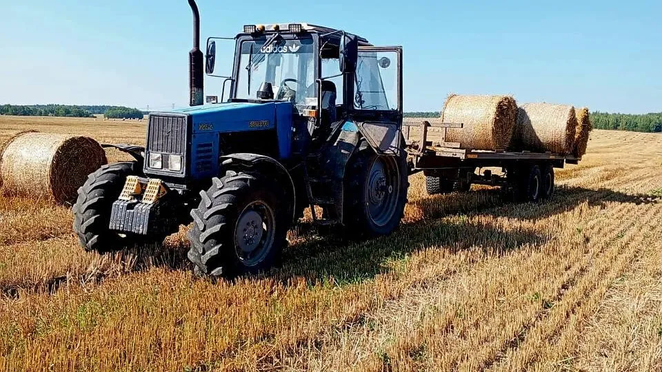 Фото: Агрохолдинг «ОСП агро»
