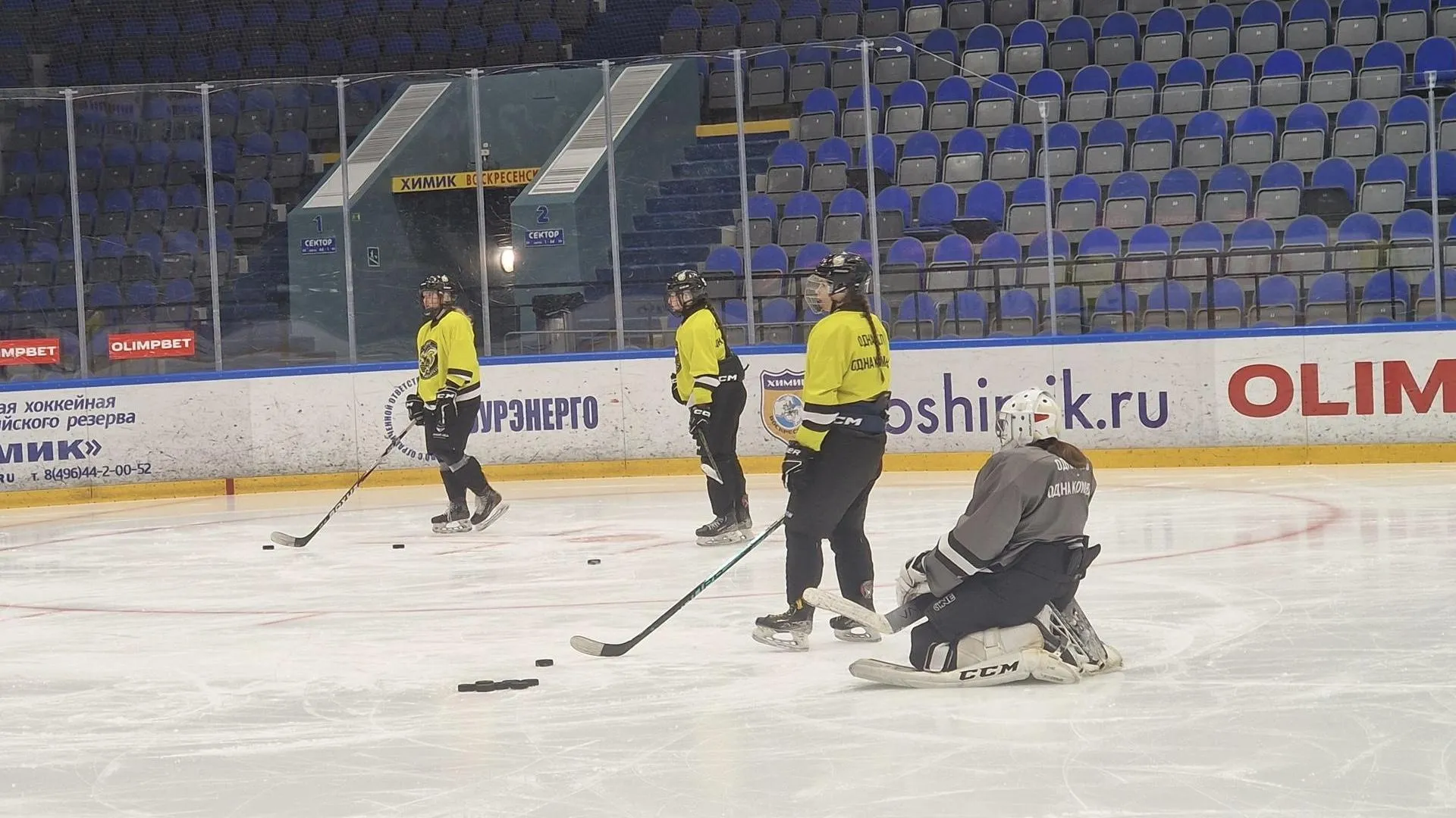 REGIONS/Ольга Шаронова