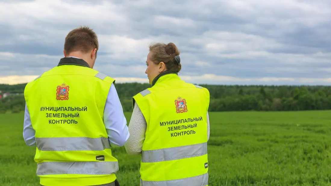 Фото: министерство имущественных отношений Московской области