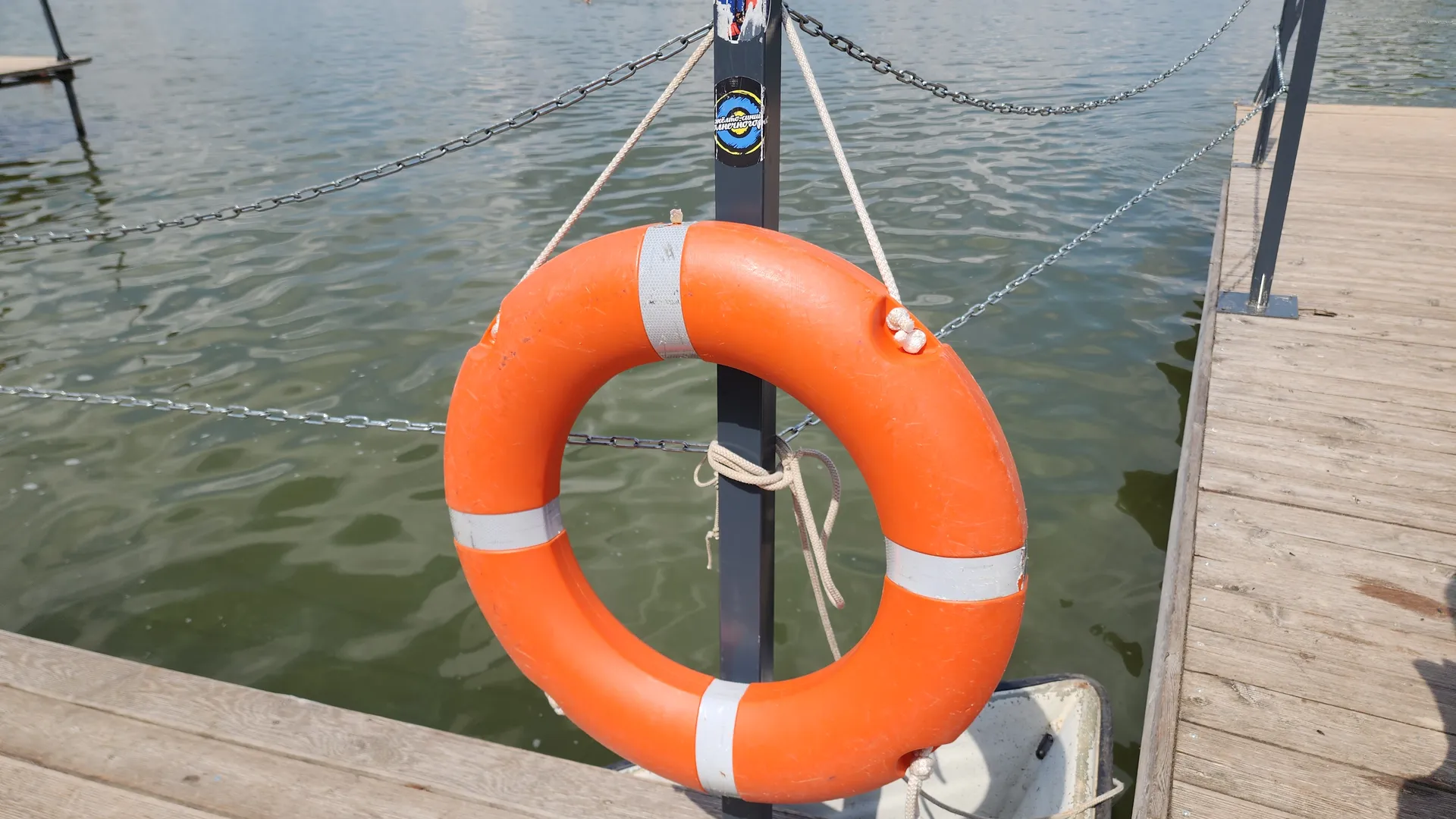 Фото: МедиаБанк Подмосковья/Евгения Герасимова