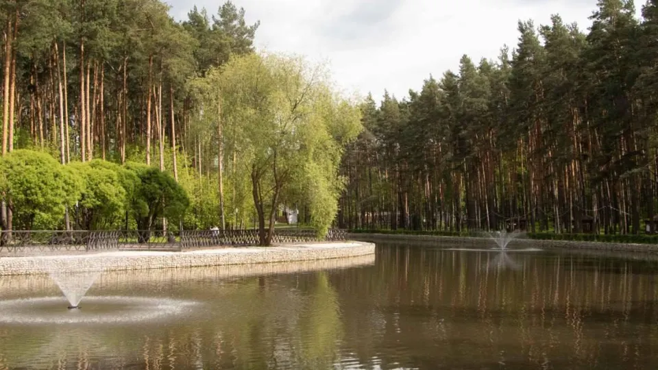 Фото: пресс-служба администрации г.о. Домодедово