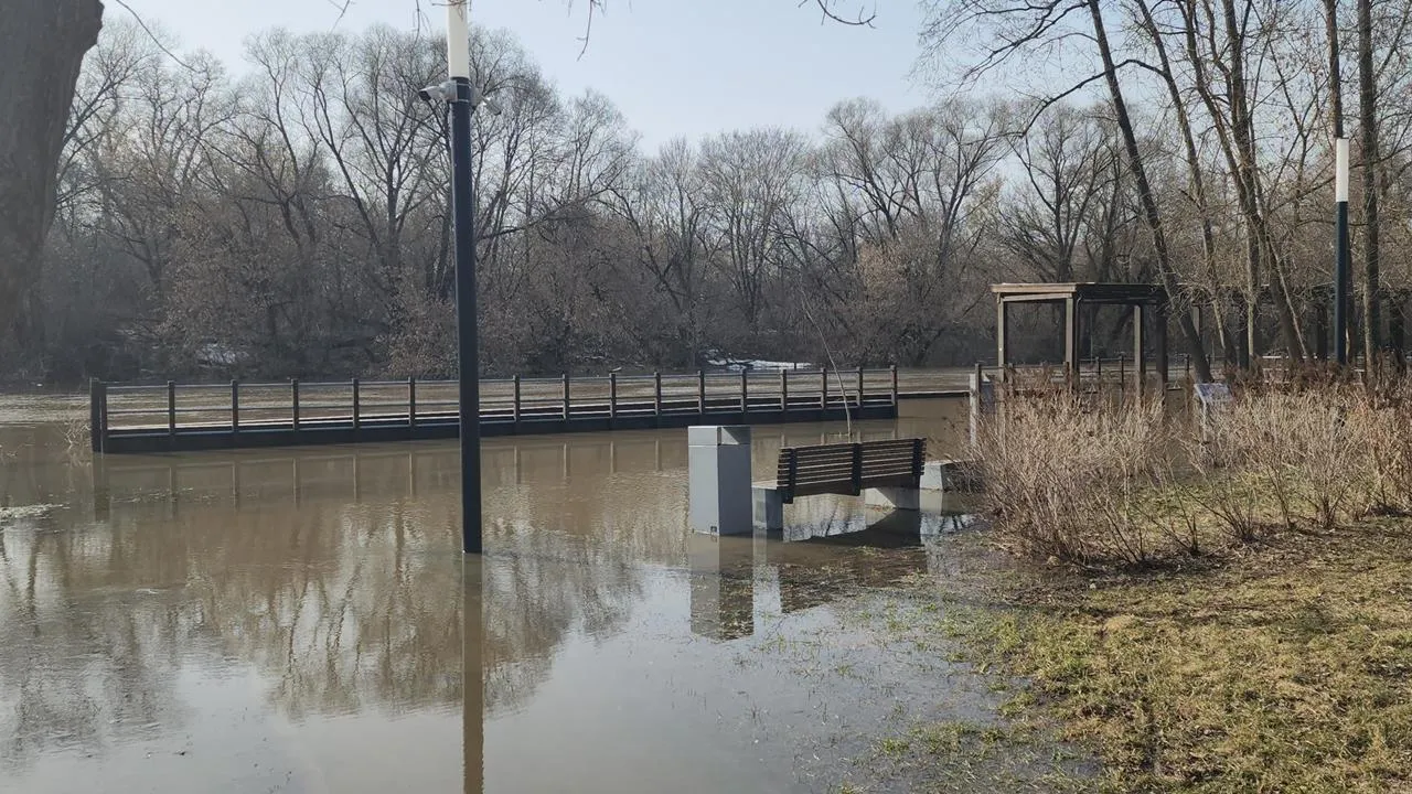 REGIONS/Валерий Гореловский