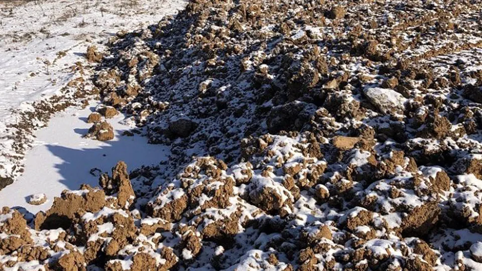 Фото: Министерство экологии и природопользования Московской области