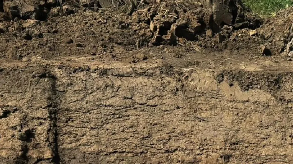 Минэкологии МО