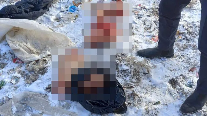 Убийцам, расчленившим женщину в Якутске, может грозить пожизненное