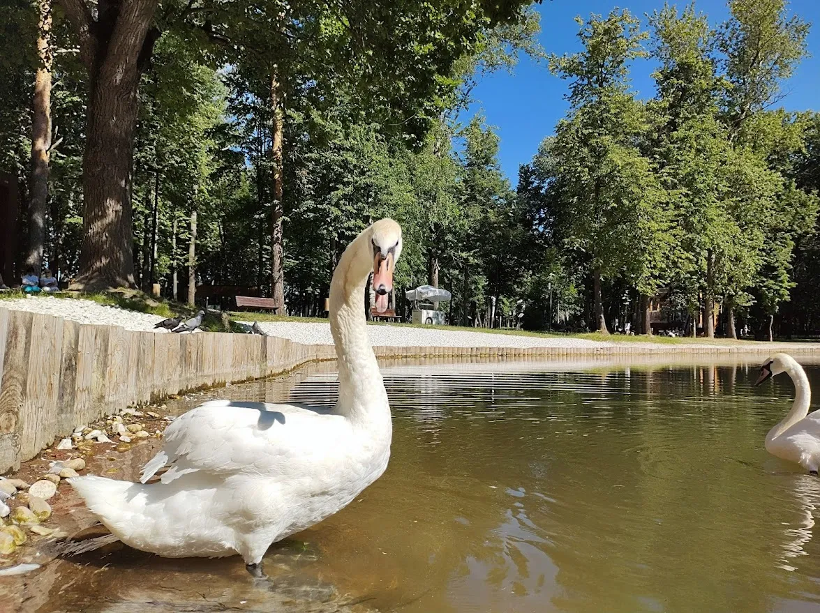 фото: Алексей Селиверстов / Regions.ru