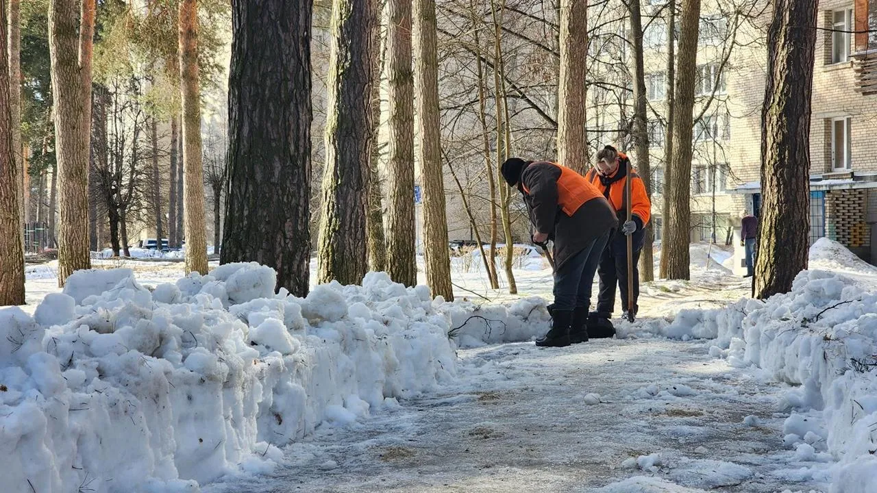 REGIONS/Анна Мороз