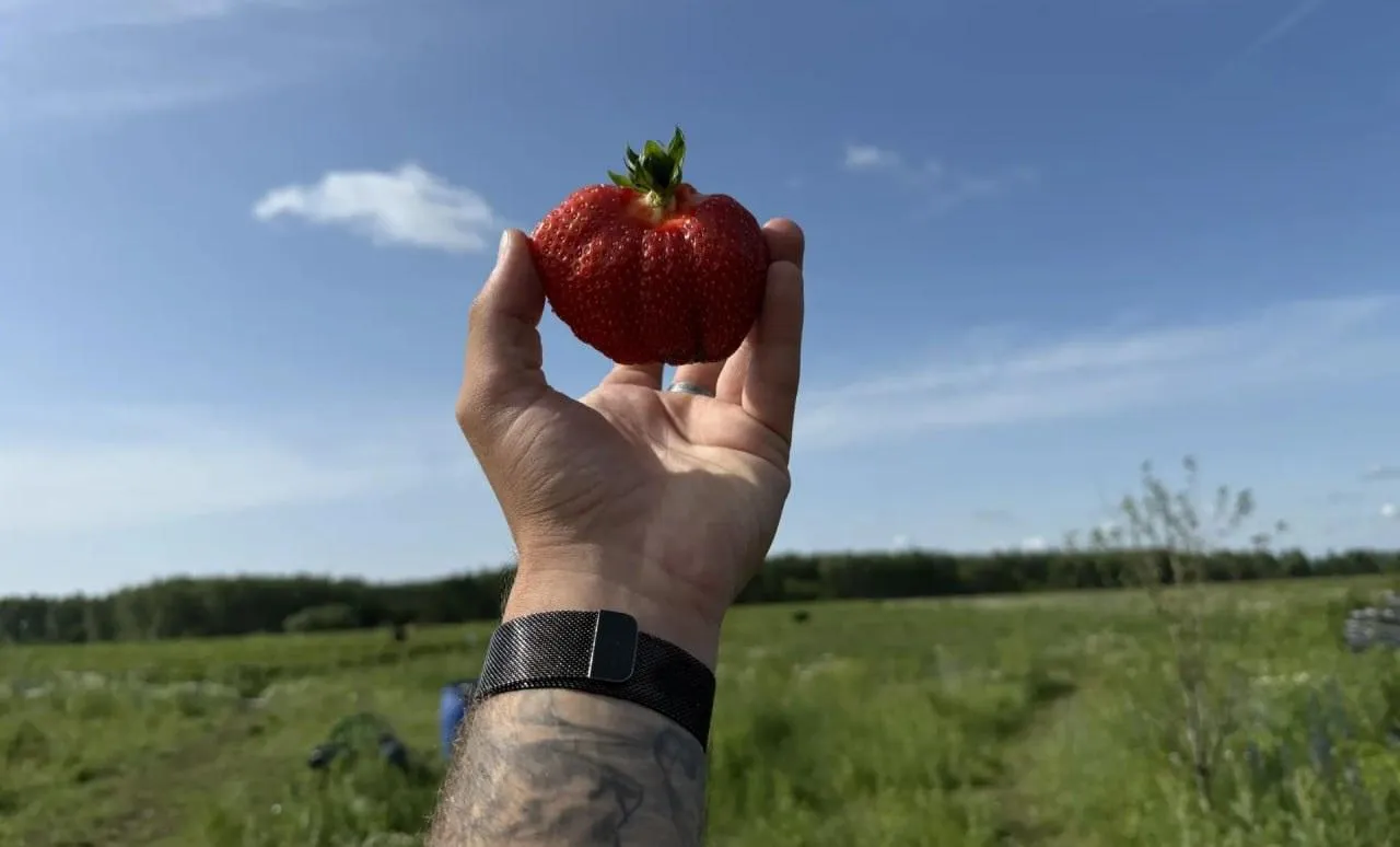Картинка