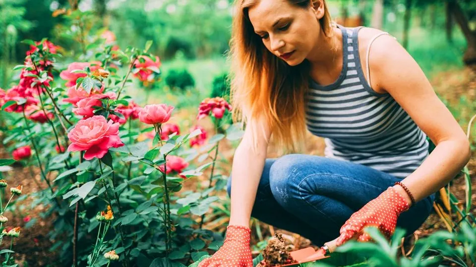 Фото: istockphoto.com