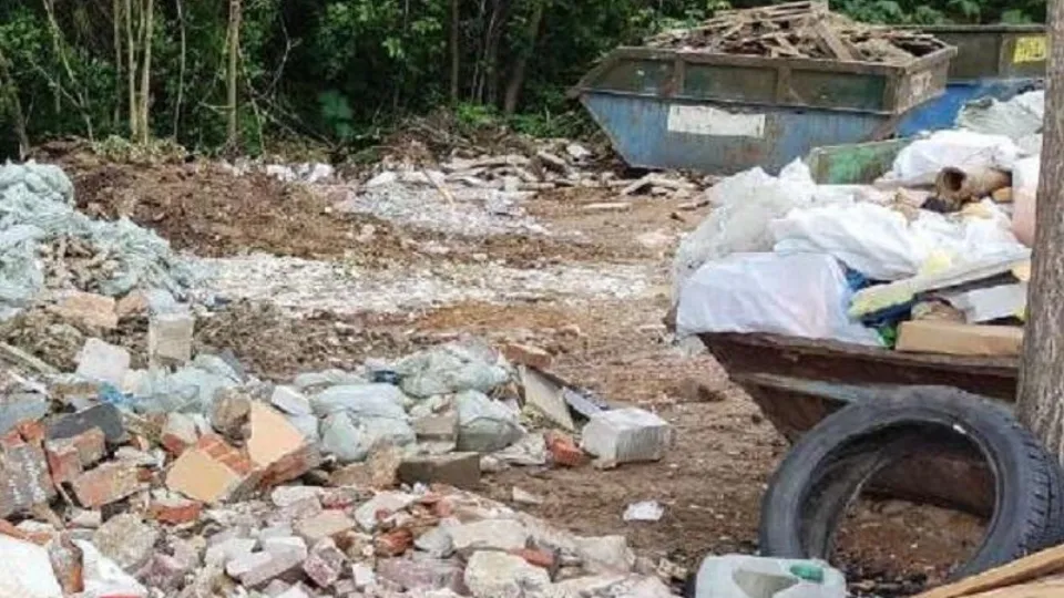 Фото: Министерство экологии и природопользования Московской области