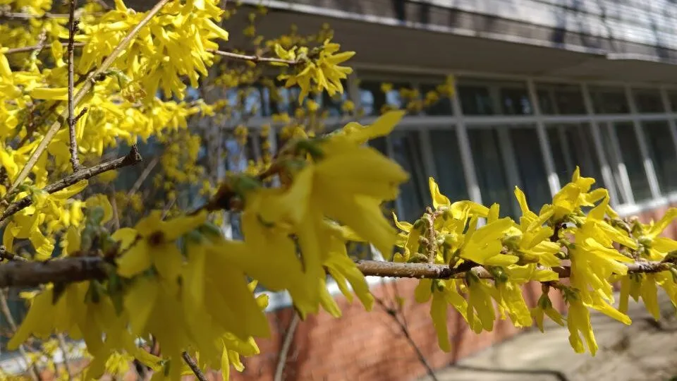 Фото: Дом ученых Пущино