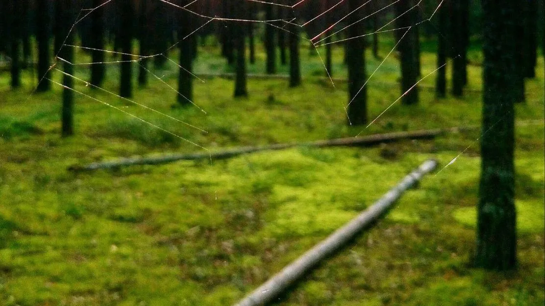 Фото: А. Ульянов