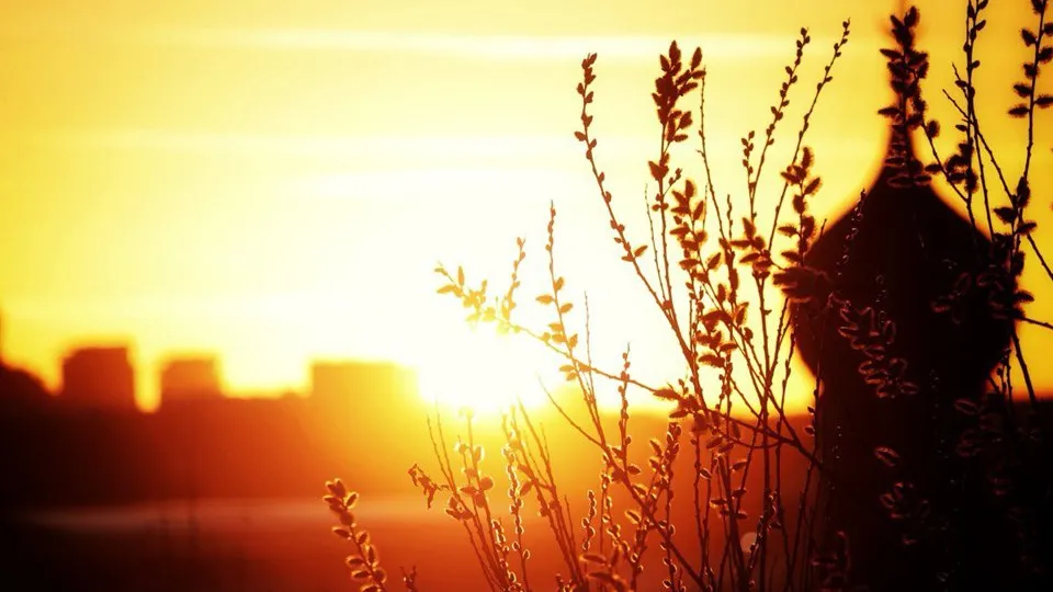 Фото: REGIONS/Владимир Ерастов