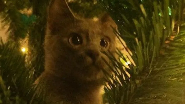 Фото: Минсельхоз МО