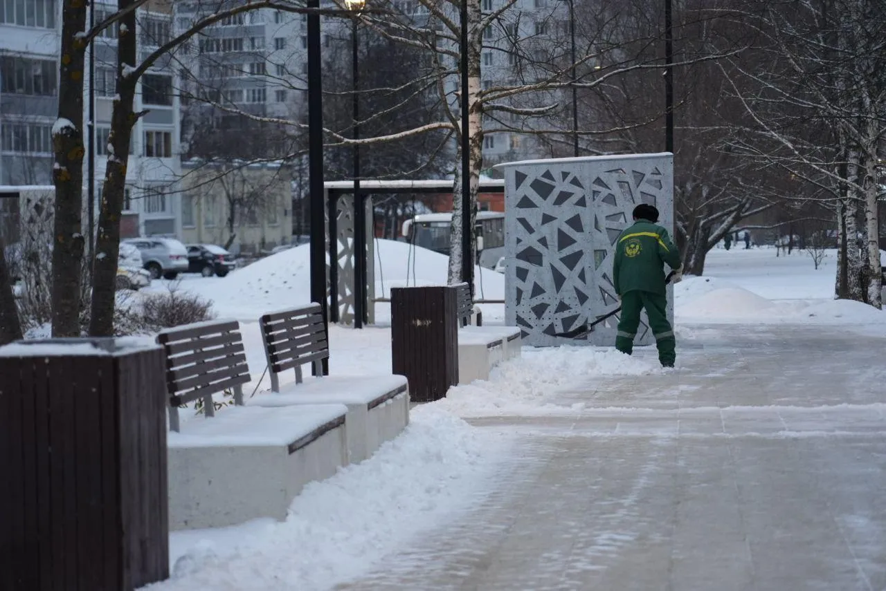Фото: Дмитрий Зайчиков