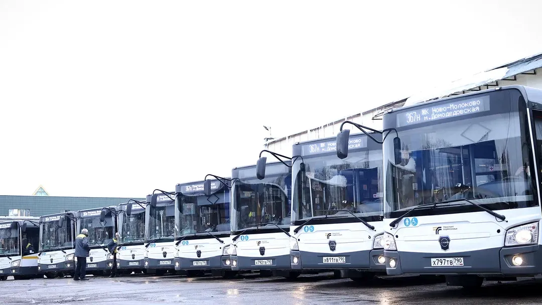 Фото: пресс-служба губернатора и правительства Московской области