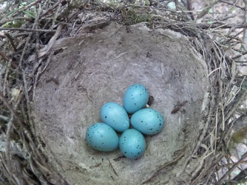 Фото: Иван Федулов