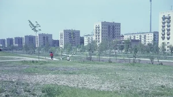 Наум Грановский / РИА Новости