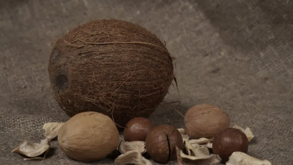 Фото: REGIONS/Дарина Левкина